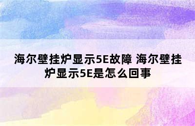 海尔壁挂炉显示5E故障 海尔壁挂炉显示5E是怎么回事